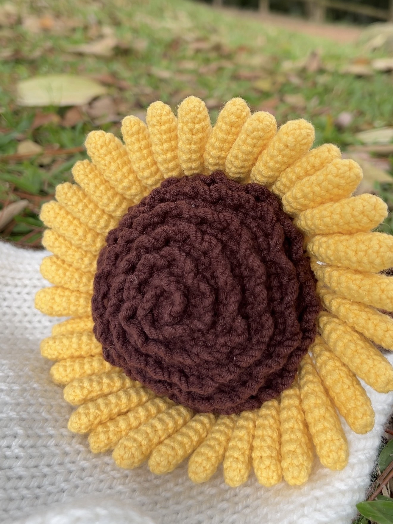 Sol, o ouriço - Imagem 4